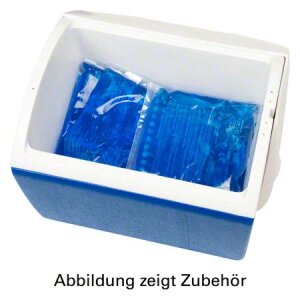 Eisbox klein, 6L