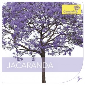 CD Jacaranda
